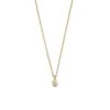 Kettingen Mostert Huiscollectie | Gouden Ankerketting Met Zirkonia Hanger - Lengte 41 + 4 Cm