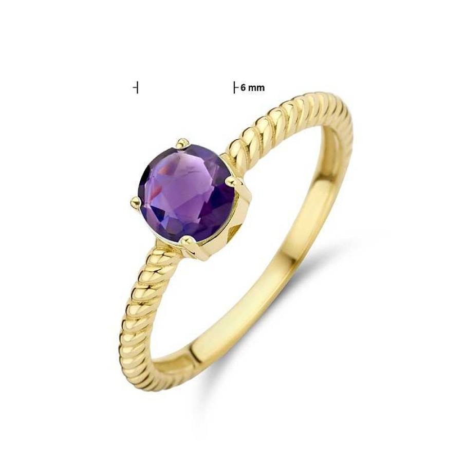 Ringen Mostert Huiscollectie | 14-Karaat Gouden Ring Gedraaid Met Amethist 0.81 Crt