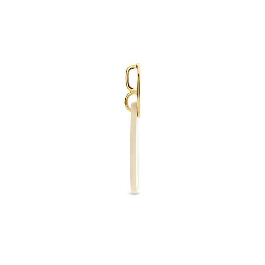 Hangers Mostert Huiscollectie | Gold Plated Parelmoer Hanger Met Twee Rondjes