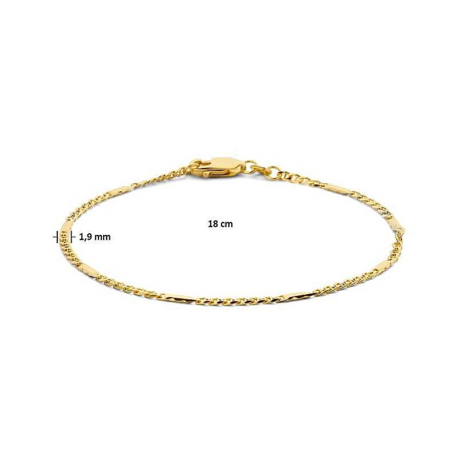 Armbanden Mostert Huiscollectie | 14-Karaat Gouden Armband Valkenoog 1.9 Mm