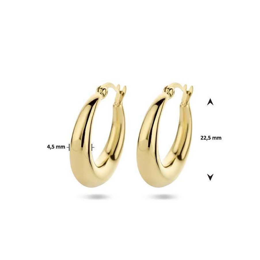 Oorbellen Mostert Huiscollectie | Gold Plated Oorringen 4.5 Mm - Diameter 22.5 Mm