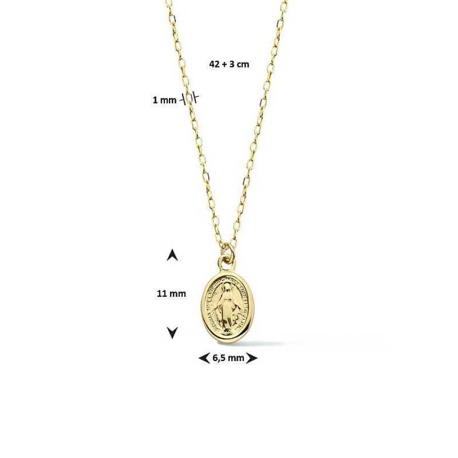 Kettingen Mostert Huiscollectie | 14-Karaat Gouden Ketting Met Scapulier - Lengte 42 + 3 Cm