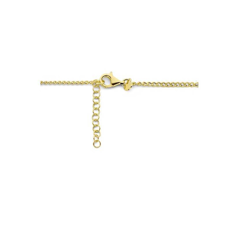 Kettingen Mostert Huiscollectie | Gold Plated Ketting Met Paperclip En Gourmet - Lengte 42 + 3 Cm