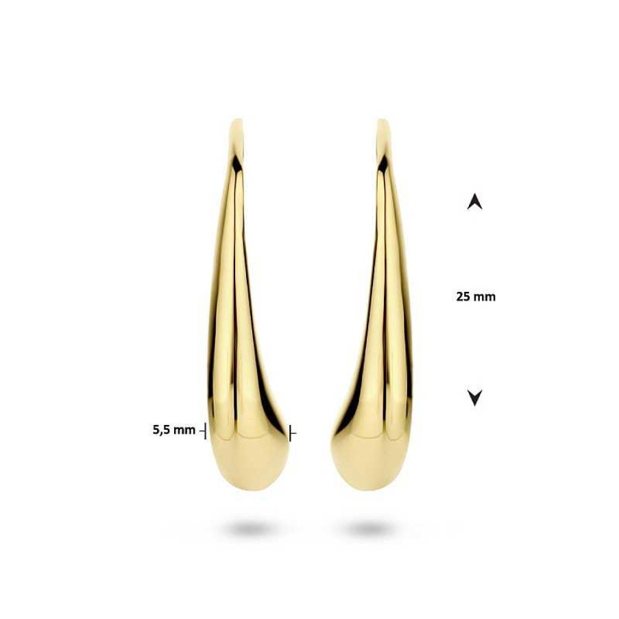 Oorbellen Mostert Huiscollectie | Gold Plated Oorhangers Met Franse Haak - 25 X 5.5 Mm