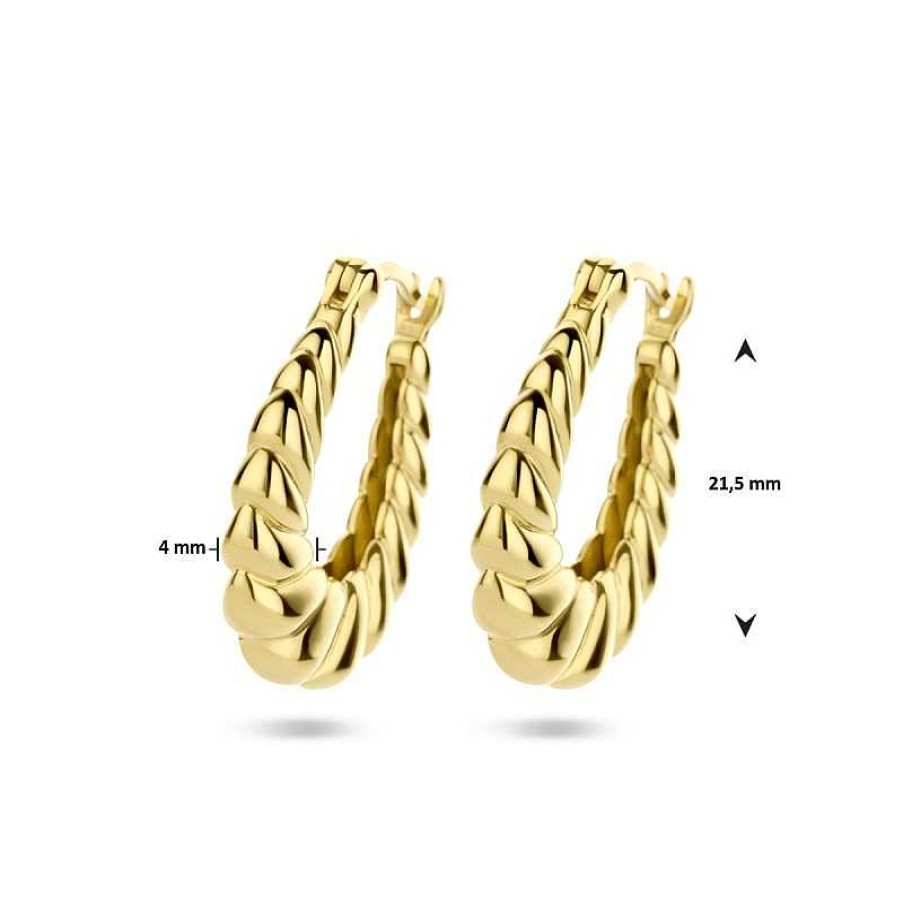 Oorbellen Mostert Huiscollectie | Gold Plated Oorringen Gedraaid - 21.5 X 4 Mm