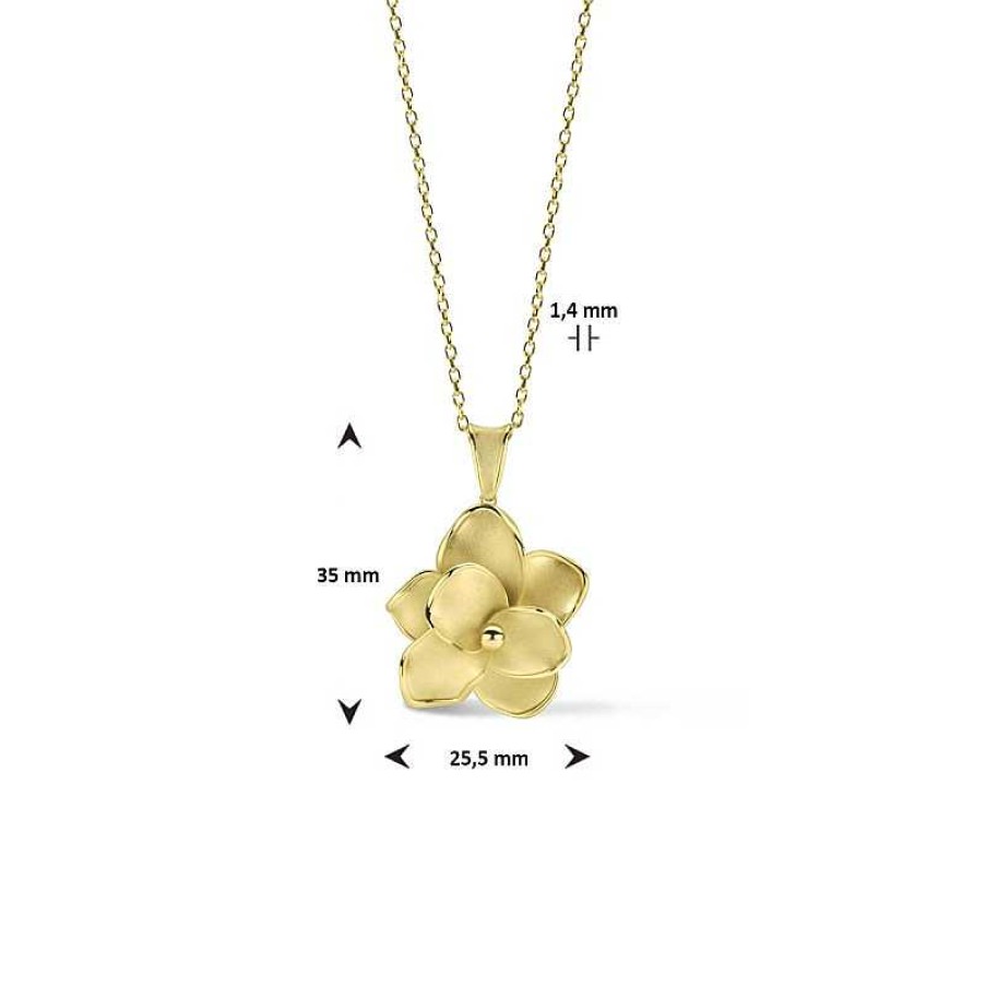 Kettingen Mostert Huiscollectie | Gouden Ketting Met Bloem Mat Glanzend