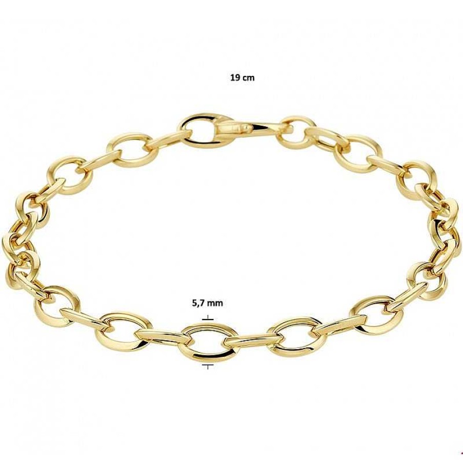 Armbanden Mostert Huiscollectie | Gouden Anker Schakelarmband 5.5 Mm Dik 19 Cm Lang