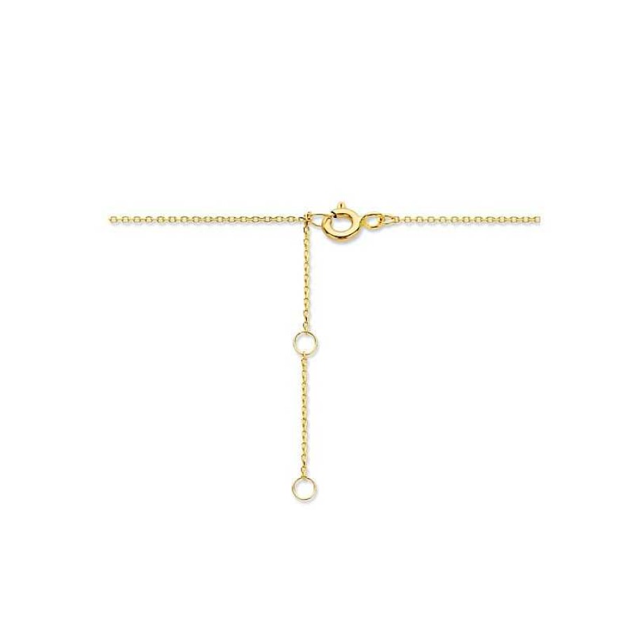 Kettingen Mostert Huiscollectie | Gouden Ketting Veer